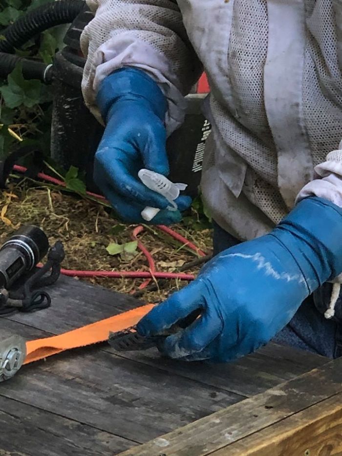 Bee Relocator Posts What He Found After Removing The Outside Wall From A Client’s Home, And His Photos Go Viral Bee Relocator Posts What He Found After Removing The Outside Wall From A Client’s Home, And His Photos Go Viral