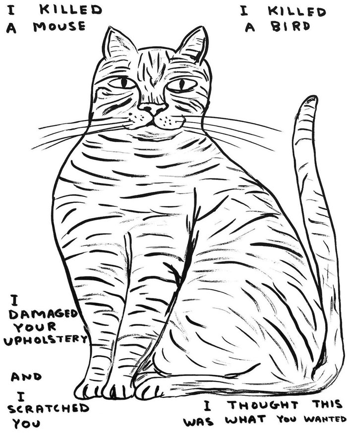 British Artist David Shrigley Shows Off His Dark Sense Of Humor In 44 Brilliant Illustrations