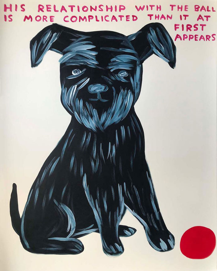 British Artist David Shrigley Shows Off His Dark Sense Of Humor In 44 Brilliant Illustrations