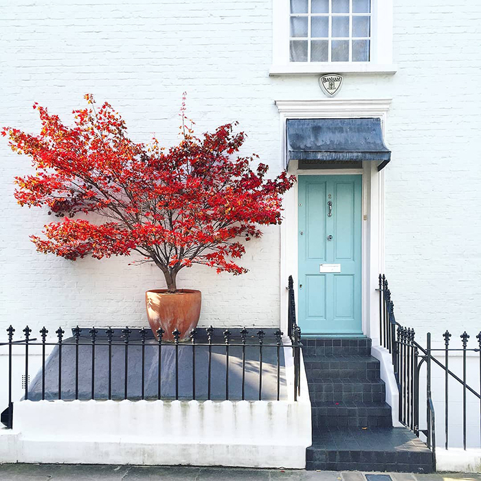 These 30 Charming Front Doors Around London Look Like They’re Part Of Sets In A Wes Anderson Movie These 30 Charming Front Doors Around London Look Like They’re Part Of Sets In A Wes Anderson Movie