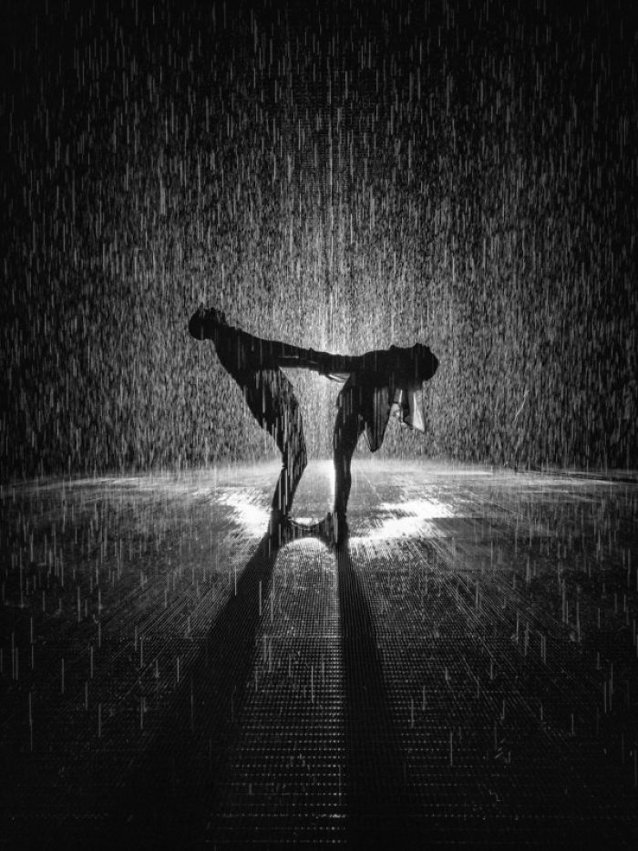 Photo Of A Sleeping Whale With Her Calf Just Won $120,000 At The HIPA Contest And Here Are 17 Of The Winners