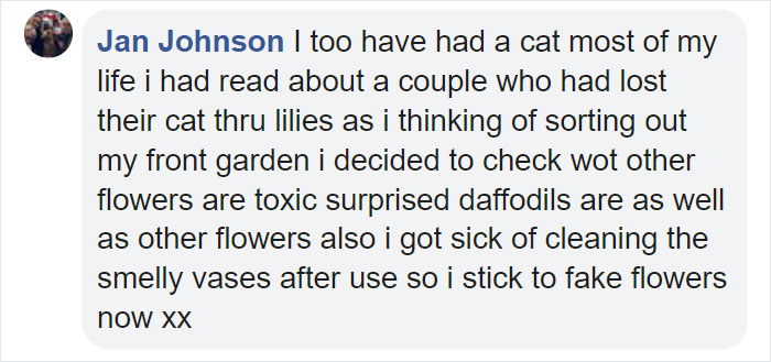 Woman Almost Accidentally Kills Her Cat After It Plays With Lilies, Warns Others About Its Danger Woman Almost Accidentally Kills Her Cat After It Plays With Lilies, Warns Others About Its Danger