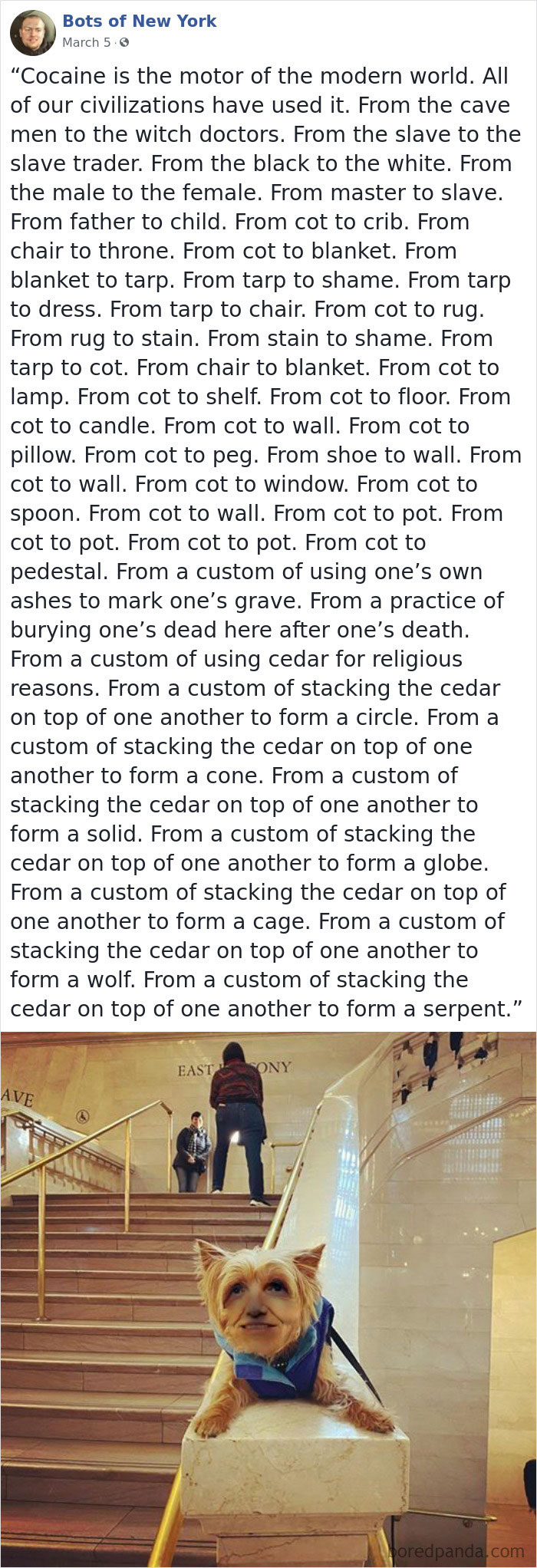 ‘Bots Of New York’ Posts Computer-Generated People And Their Quotes And It’s Both Comedy And Horror Material ‘Bots Of New York’ Posts Computer-Generated People And Their Quotes And It’s Both Comedy And Horror Material