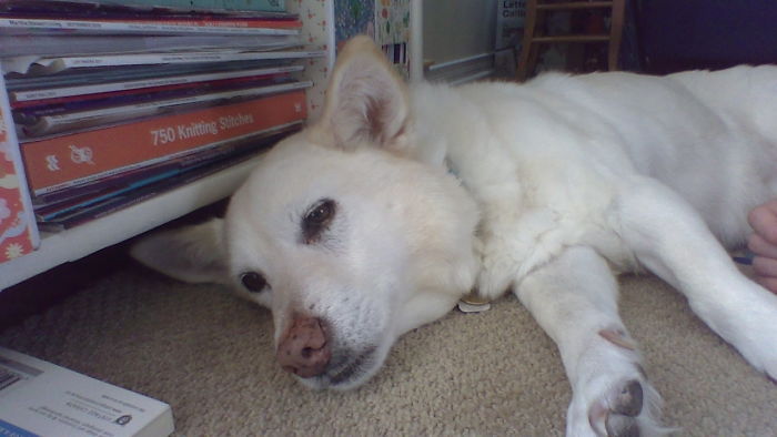 What Did You Do During Quarantine That You’re Proud Of? (Ended) What Did You Do During Quarantine That You’re Proud Of? (Ended)