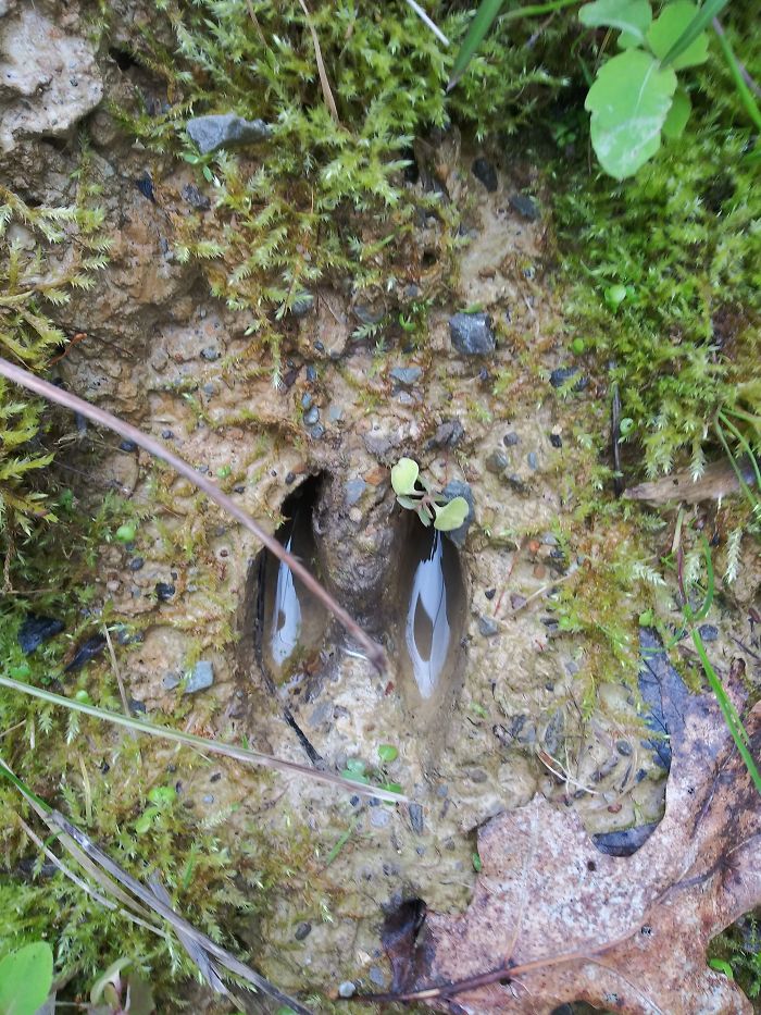 What Did You Do During Quarantine That You’re Proud Of? (Ended) What Did You Do During Quarantine That You’re Proud Of? (Ended)