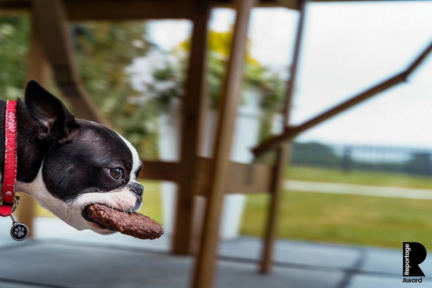 Here Are 22 Of The Best Unstaged Wedding Photographs Photographers Submitted For Our Contest