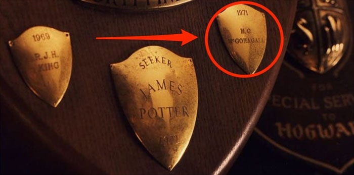 35 Brilliant Small Details That Were Hidden In The Harry Potter Movies 35 Brilliant Small Details That Were Hidden In The Harry Potter Movies