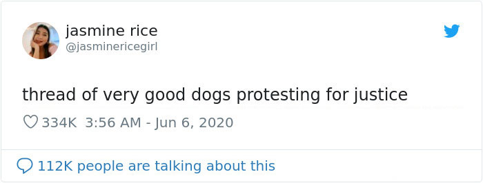 People Are Posting Pics Of Dogs Protesting For Justice, And They’re Too Cute (30 Pics) People Are Posting Pics Of Dogs Protesting For Justice, And They’re Too Cute (30 Pics)