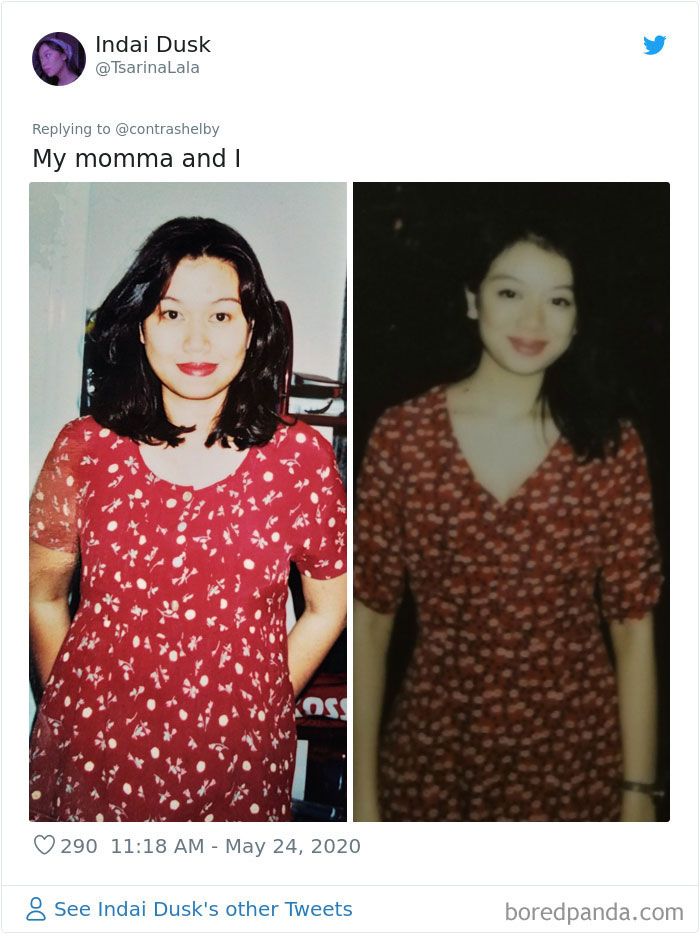 People Are Sharing Pics Of How Their Genes Seemed To Just Hit Copy-Paste (40 Tweets)
