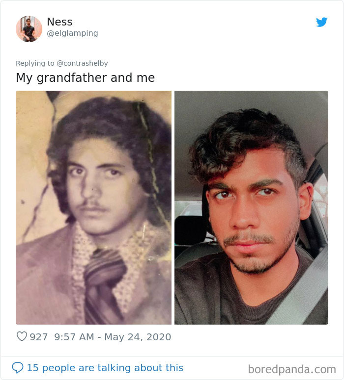 People Are Sharing Pics Of How Their Genes Seemed To Just Hit Copy-Paste (40 Tweets)