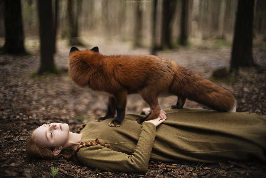 I Photograph Beautiful Redheads With Fiery Foxes (12 New Pics) I Photograph Beautiful Redheads With Fiery Foxes (12 New Pics)