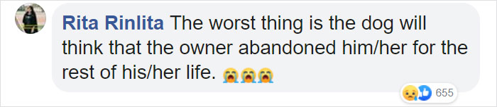 Dog Waits For His Owner In A Wuhan Hospital Not Knowing He Died From Covid-19 Months Ago Dog Waits For His Owner In A Wuhan Hospital Not Knowing He Died From Covid-19 Months Ago