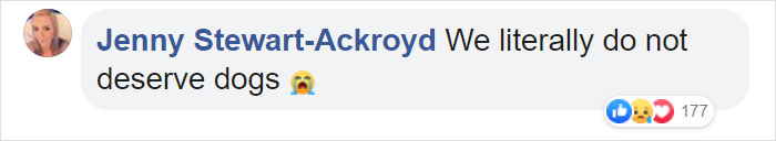 Dog Waits For His Owner In A Wuhan Hospital Not Knowing He Died From Covid-19 Months Ago Dog Waits For His Owner In A Wuhan Hospital Not Knowing He Died From Covid-19 Months Ago