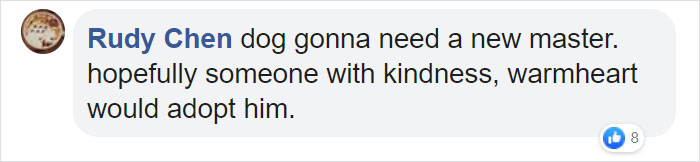 Dog Waits For His Owner In A Wuhan Hospital Not Knowing He Died From Covid-19 Months Ago Dog Waits For His Owner In A Wuhan Hospital Not Knowing He Died From Covid-19 Months Ago