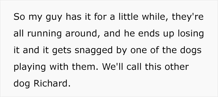 Dog Owner Witnesses Peculiar Behavior At The Dog Park, Asks The Internet If His Dog Just Lied To Another Dog Dog Owner Witnesses Peculiar Behavior At The Dog Park, Asks The Internet If His Dog Just Lied To Another Dog