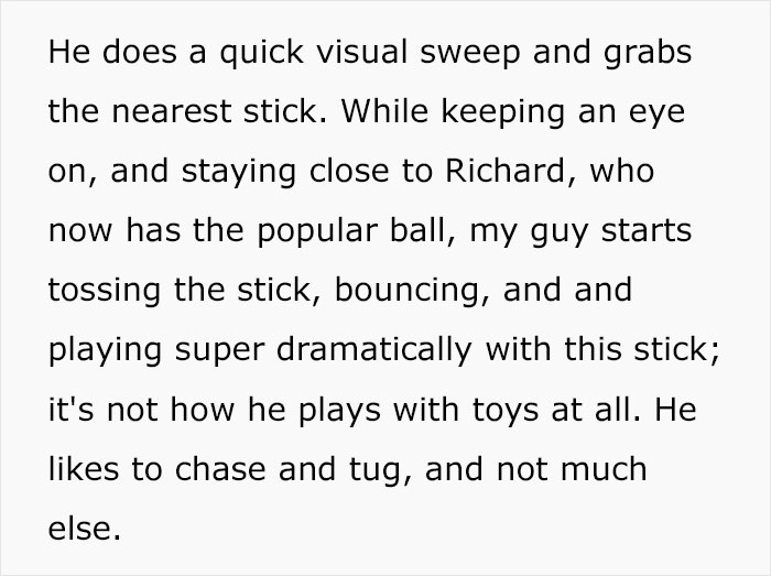 Dog Owner Witnesses Peculiar Behavior At The Dog Park, Asks The Internet If His Dog Just Lied To Another Dog Dog Owner Witnesses Peculiar Behavior At The Dog Park, Asks The Internet If His Dog Just Lied To Another Dog