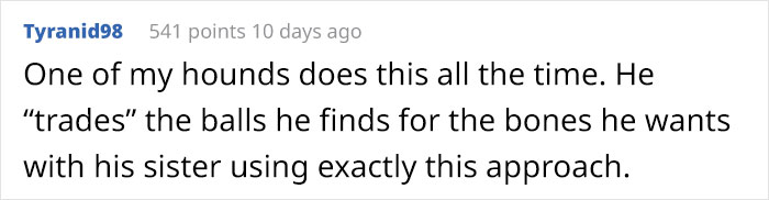 Dog Owner Witnesses Peculiar Behavior At The Dog Park, Asks The Internet If His Dog Just Lied To Another Dog Dog Owner Witnesses Peculiar Behavior At The Dog Park, Asks The Internet If His Dog Just Lied To Another Dog
