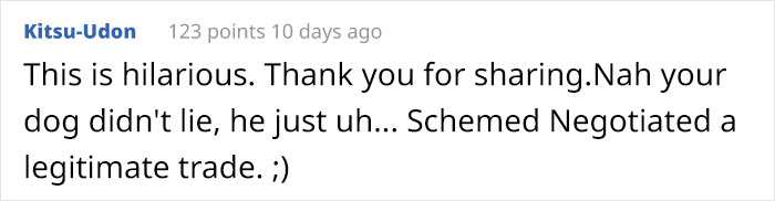 Dog Owner Witnesses Peculiar Behavior At The Dog Park, Asks The Internet If His Dog Just Lied To Another Dog Dog Owner Witnesses Peculiar Behavior At The Dog Park, Asks The Internet If His Dog Just Lied To Another Dog