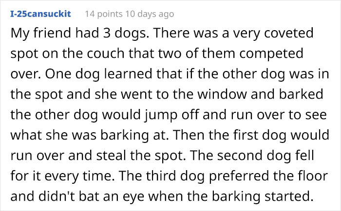 Dog Owner Witnesses Peculiar Behavior At The Dog Park, Asks The Internet If His Dog Just Lied To Another Dog Dog Owner Witnesses Peculiar Behavior At The Dog Park, Asks The Internet If His Dog Just Lied To Another Dog