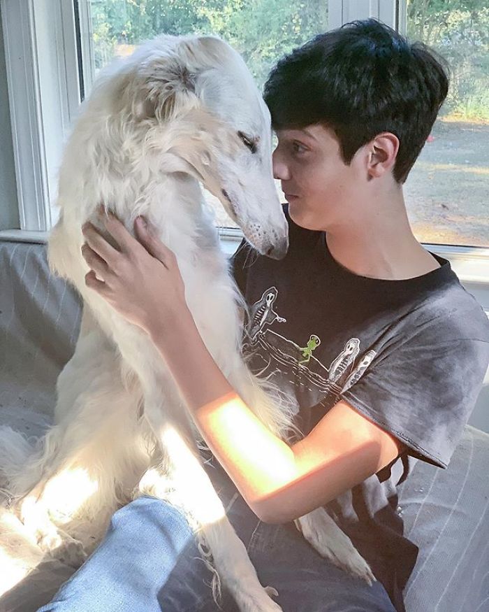 Internet Adores This Very Long Dog With Even Longer 12.2-Inch Snout (30 Pics) Internet Adores This Very Long Dog With Even Longer 12.2-Inch Snout (30 Pics)