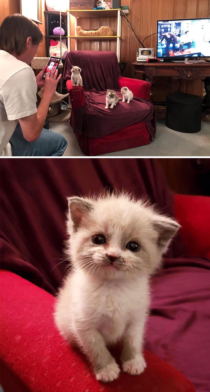 50 Wholesome Cat Posts To Make You Feel Warm Inside 50 Wholesome Cat Posts To Make You Feel Warm Inside