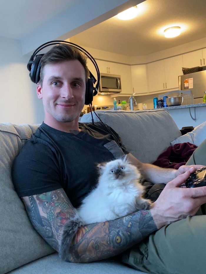 50 Wholesome Cat Posts To Make You Feel Warm Inside 50 Wholesome Cat Posts To Make You Feel Warm Inside