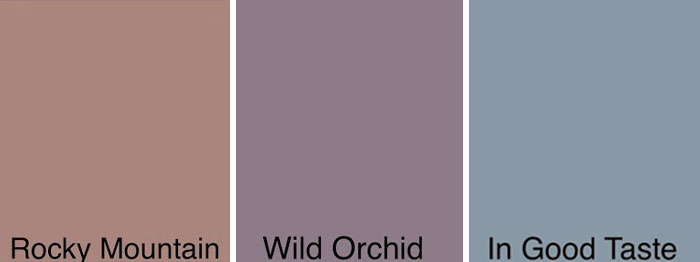 Family Asks Neighbors To Pick Their Next House Color By Creating A Survey, Gets Over 110,000 Votes Family Asks Neighbors To Pick Their Next House Color By Creating A Survey, Gets Over 110,000 Votes
