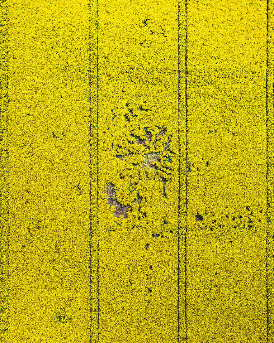 12 Earth Patterns Captured From Above With My Drone 12 Earth Patterns Captured From Above With My Drone