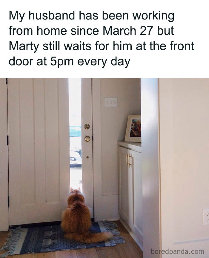 45 Of The Freshest Jokes About The Pandemic To Make You Laugh 45 Of The Freshest Jokes About The Pandemic To Make You Laugh