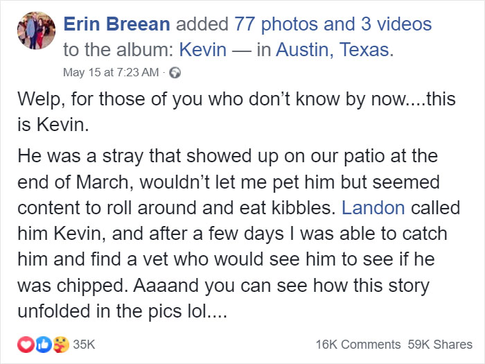 Woman Hilariously Documents Her Attempt To Take Care Of The Cat Who Wouldn&#8217;t Stop Visiting Her