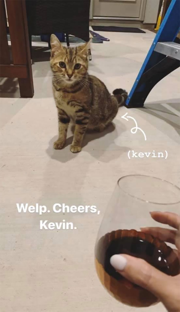 Woman Hilariously Documents Her Attempt To Take Care Of The Cat Who Wouldn&#8217;t Stop Visiting Her