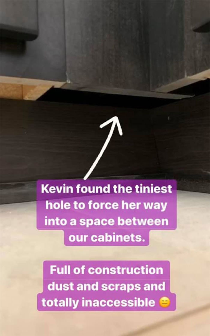 Woman Hilariously Documents Her Attempt To Take Care Of The Cat Who Wouldn&#8217;t Stop Visiting Her