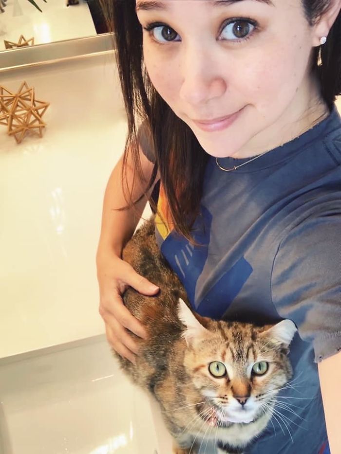 Woman Hilariously Documents Her Attempt To Take Care Of The Cat Who Wouldn&#8217;t Stop Visiting Her