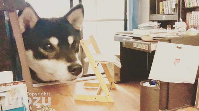 30 Adorable Miniature Rooms Created By A Japanese Studio