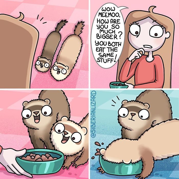 Siberian Artist Makes Adorable Comics About Everyday Life With Her Two Ferrets (30 Pics) Siberian Artist Makes Adorable Comics About Everyday Life With Her Two Ferrets (30 Pics)