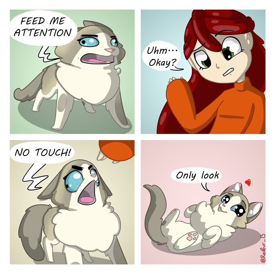 My 26 Comics That You Will Probably Relate To If You Have A Cat My 26 Comics That You Will Probably Relate To If You Have A Cat