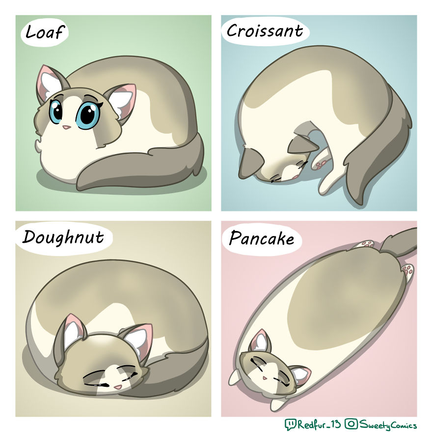 My 26 Comics That You Will Probably Relate To If You Have A Cat My 26 Comics That You Will Probably Relate To If You Have A Cat