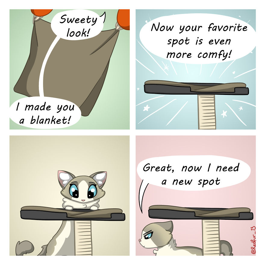 My 26 Comics That You Will Probably Relate To If You Have A Cat My 26 Comics That You Will Probably Relate To If You Have A Cat