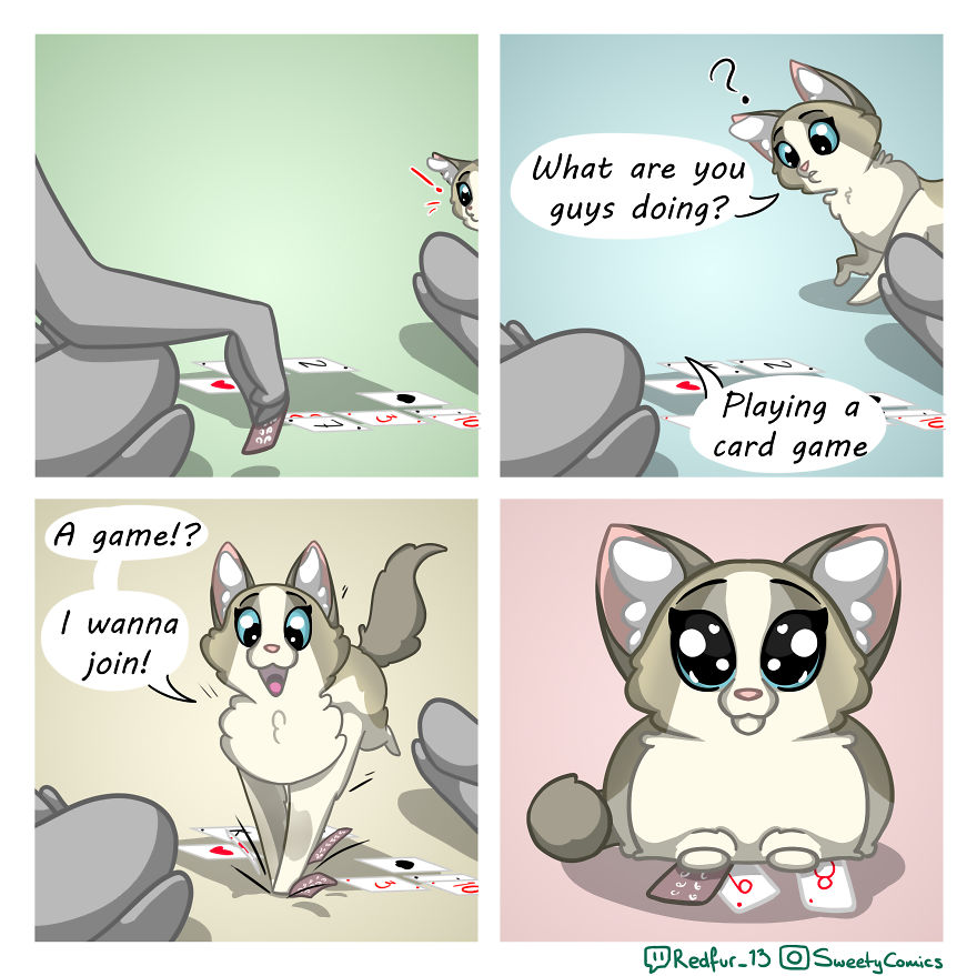My 26 Comics That You Will Probably Relate To If You Have A Cat My 26 Comics That You Will Probably Relate To If You Have A Cat