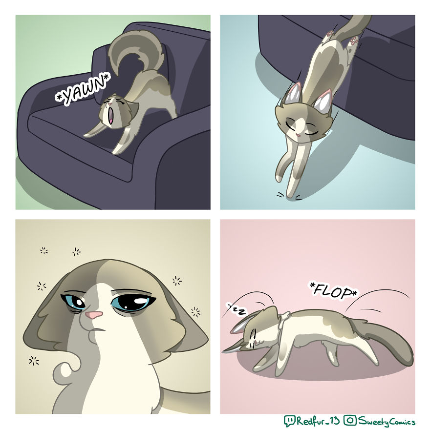 My 26 Comics That You Will Probably Relate To If You Have A Cat My 26 Comics That You Will Probably Relate To If You Have A Cat