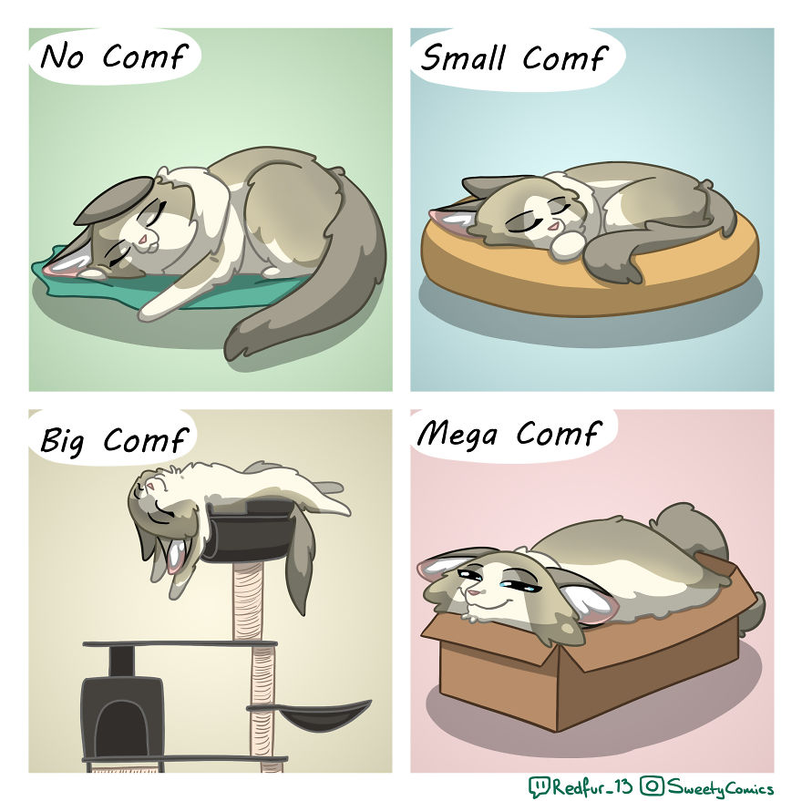 My 26 Comics That You Will Probably Relate To If You Have A Cat My 26 Comics That You Will Probably Relate To If You Have A Cat