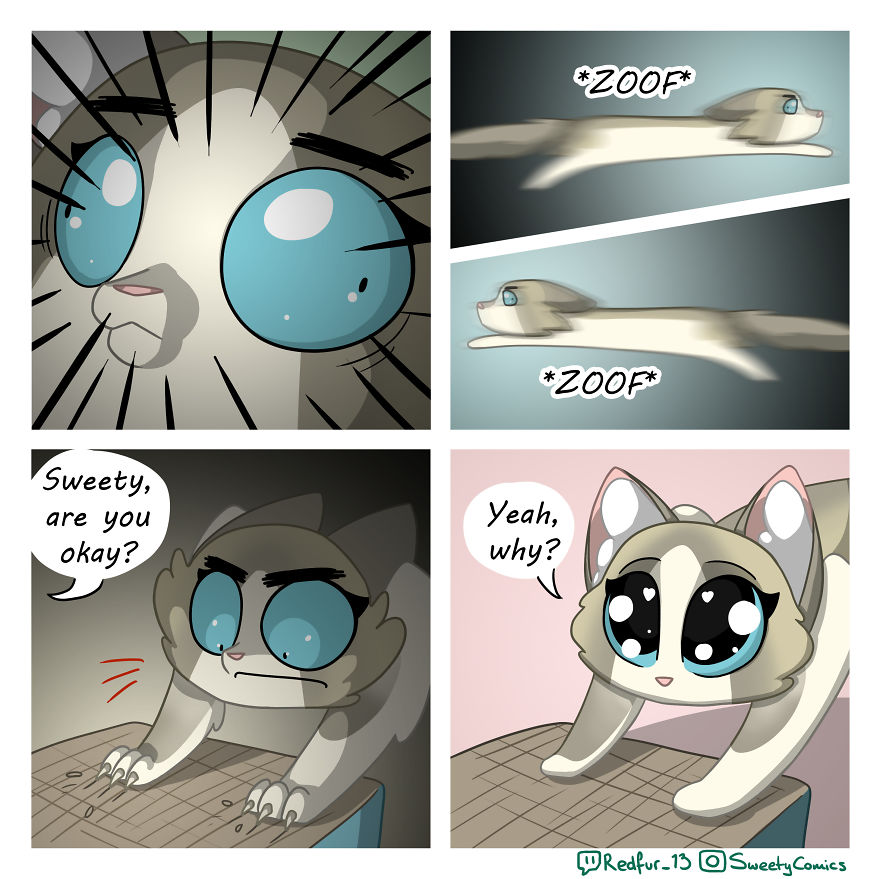 My 26 Comics That You Will Probably Relate To If You Have A Cat My 26 Comics That You Will Probably Relate To If You Have A Cat