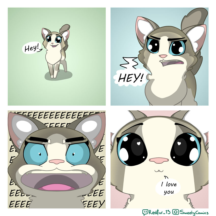 My 26 Comics That You Will Probably Relate To If You Have A Cat My 26 Comics That You Will Probably Relate To If You Have A Cat