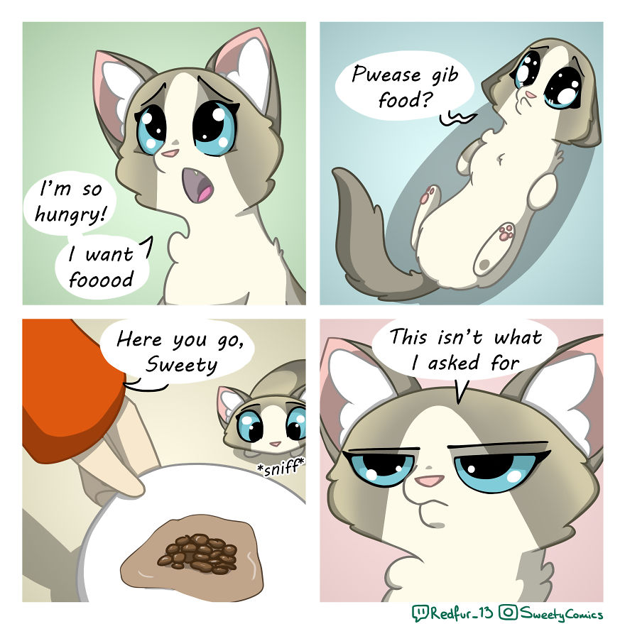 My 26 Comics That You Will Probably Relate To If You Have A Cat My 26 Comics That You Will Probably Relate To If You Have A Cat