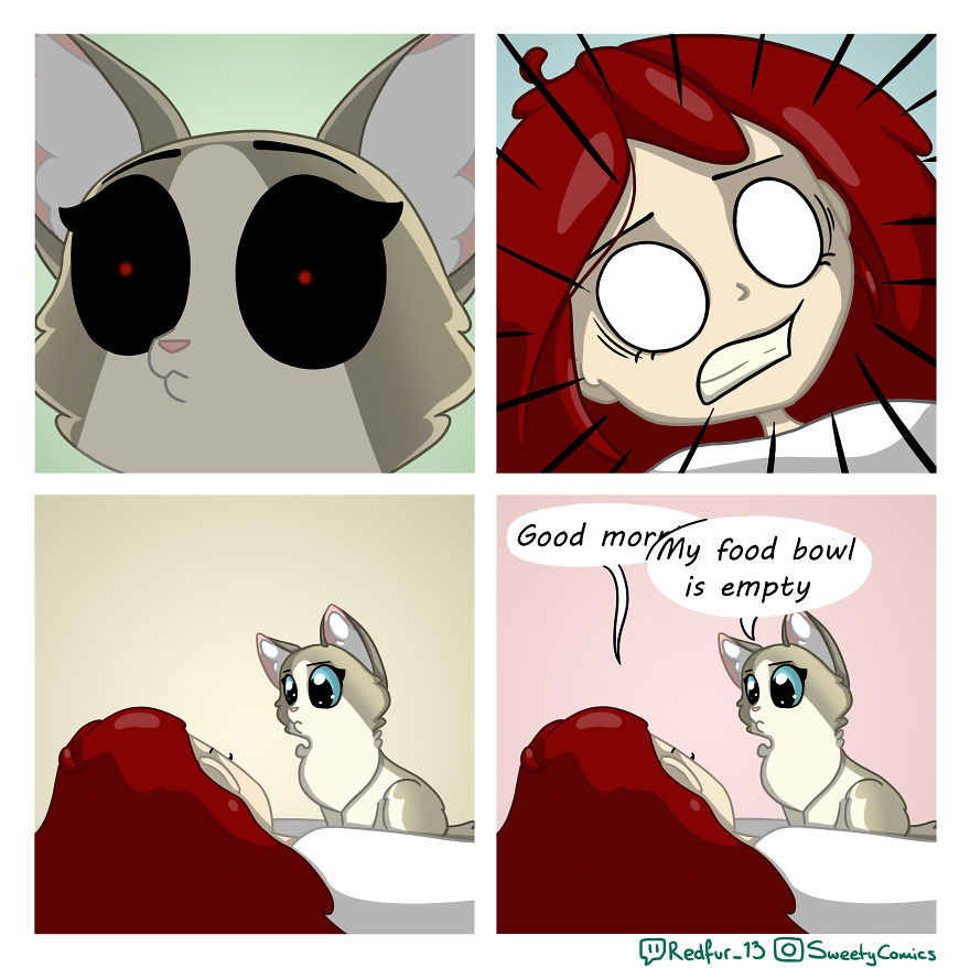 My 26 Comics That You Will Probably Relate To If You Have A Cat My 26 Comics That You Will Probably Relate To If You Have A Cat