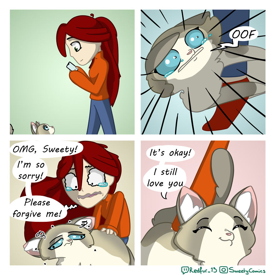 My 26 Comics That You Will Probably Relate To If You Have A Cat My 26 Comics That You Will Probably Relate To If You Have A Cat