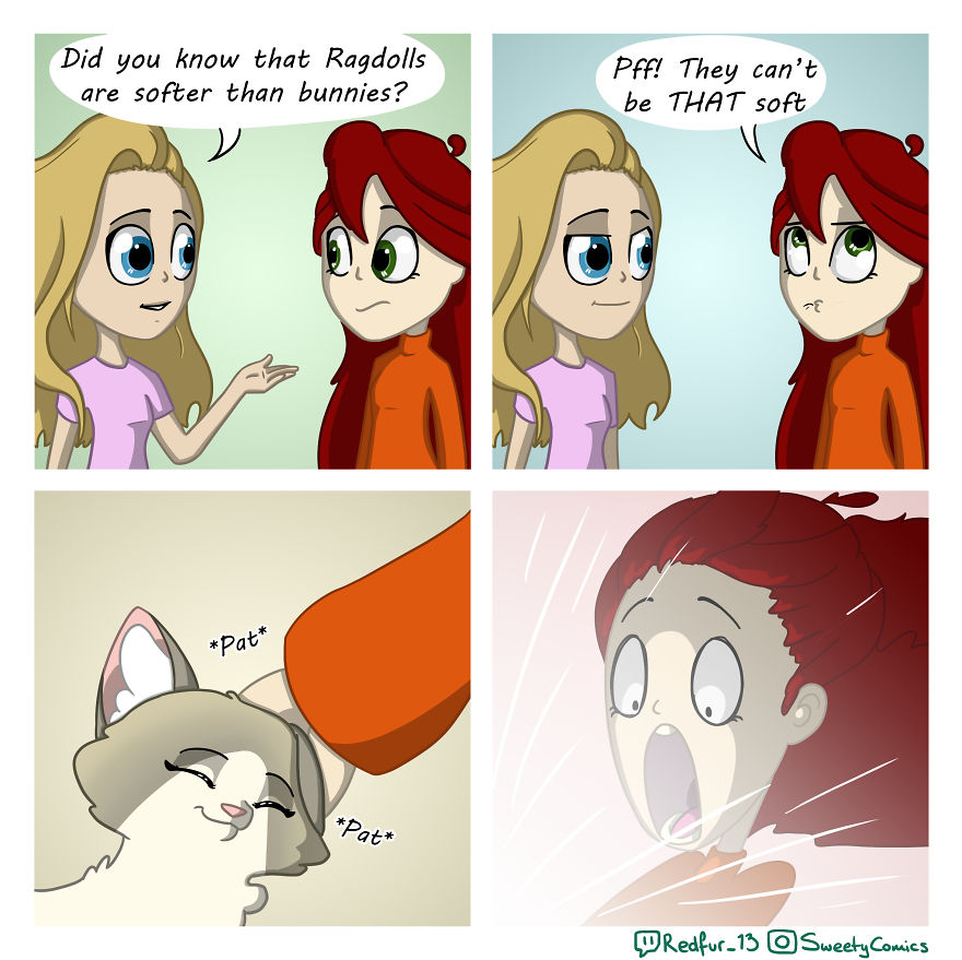 My 26 Comics That You Will Probably Relate To If You Have A Cat My 26 Comics That You Will Probably Relate To If You Have A Cat