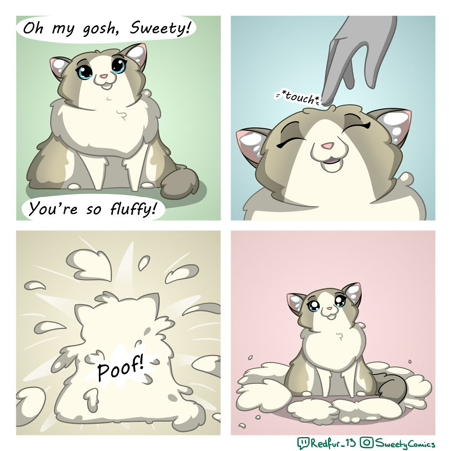 My 26 Comics That You Will Probably Relate To If You Have A Cat My 26 Comics That You Will Probably Relate To If You Have A Cat