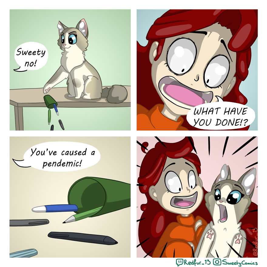My 26 Comics That You Will Probably Relate To If You Have A Cat My 26 Comics That You Will Probably Relate To If You Have A Cat