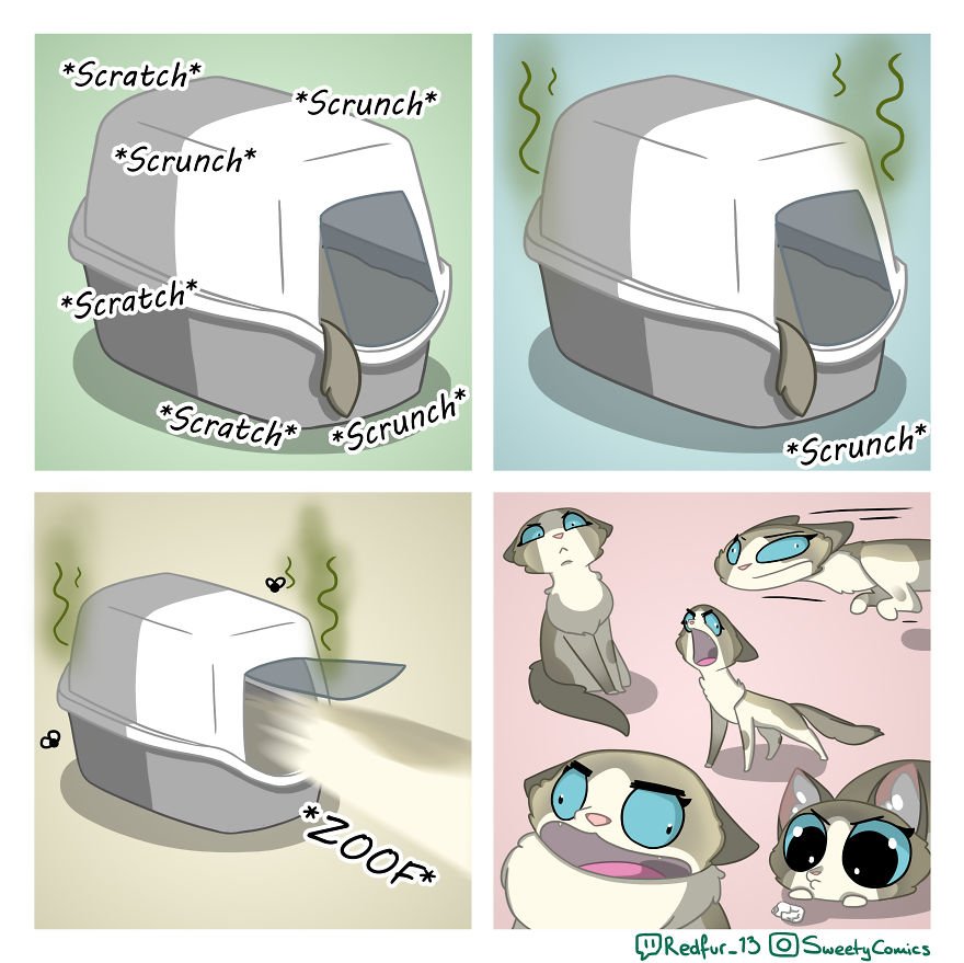 My 26 Comics That You Will Probably Relate To If You Have A Cat My 26 Comics That You Will Probably Relate To If You Have A Cat